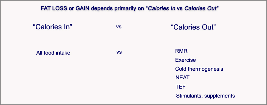 calories-in--vs--calories-out---table-1