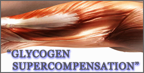 cold-thermogenesis--and--glycogen-supercompensation