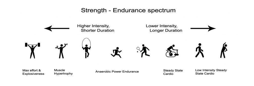 Strength - Endurance spectrum