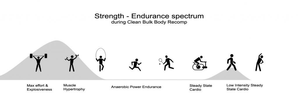 Strength - Endurance spectrum - Clean Bulk