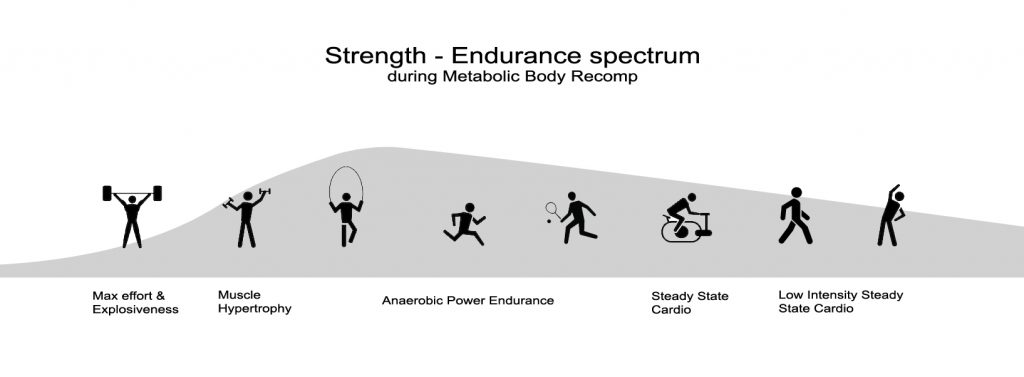 Strength - Endurance spectrum - Metabolic
