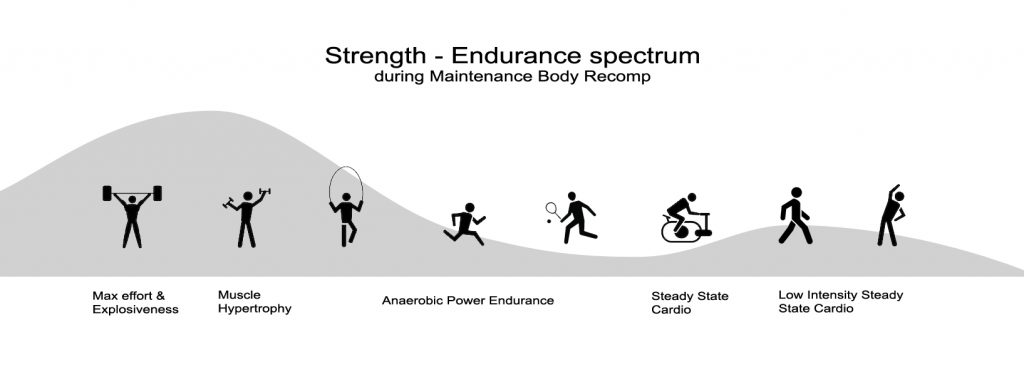 Strength - Endurance spectrum - maintenance