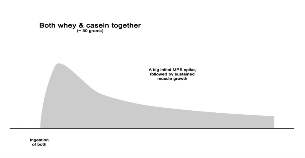 Whey vs Casein vs both - both