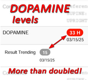 The CFB increases dopamine levels!